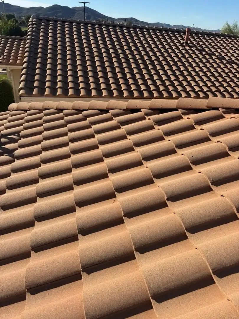 Tile roof tune-up and debris removal in Riverside County, CA